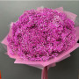 Букет из 51 розовой гипсофилы — вид 3